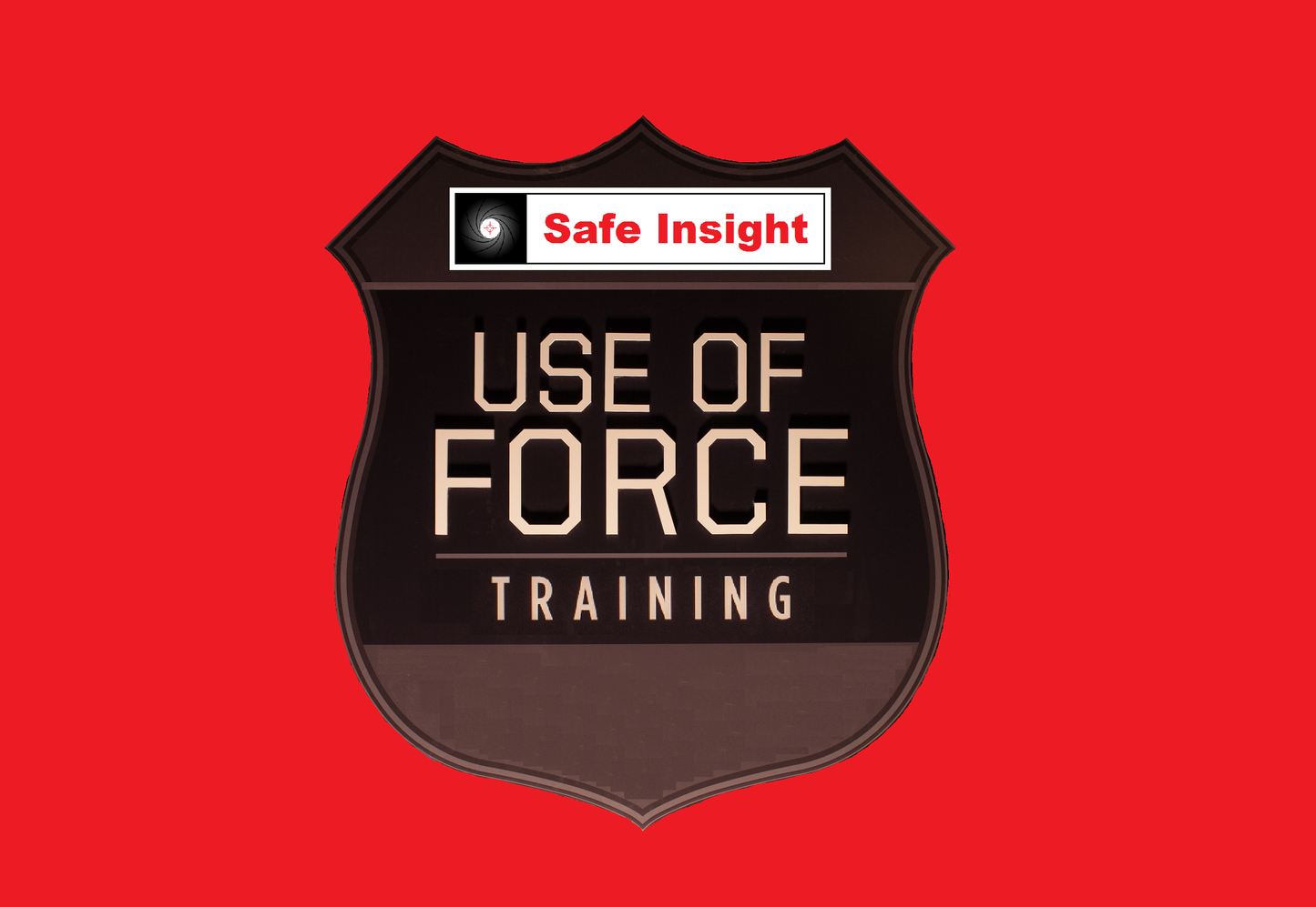 PS: Use Of Force