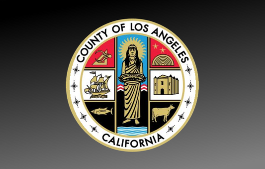 LA County ONLINE Initial CCW 16hr